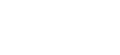 Disability Confident Committed-white