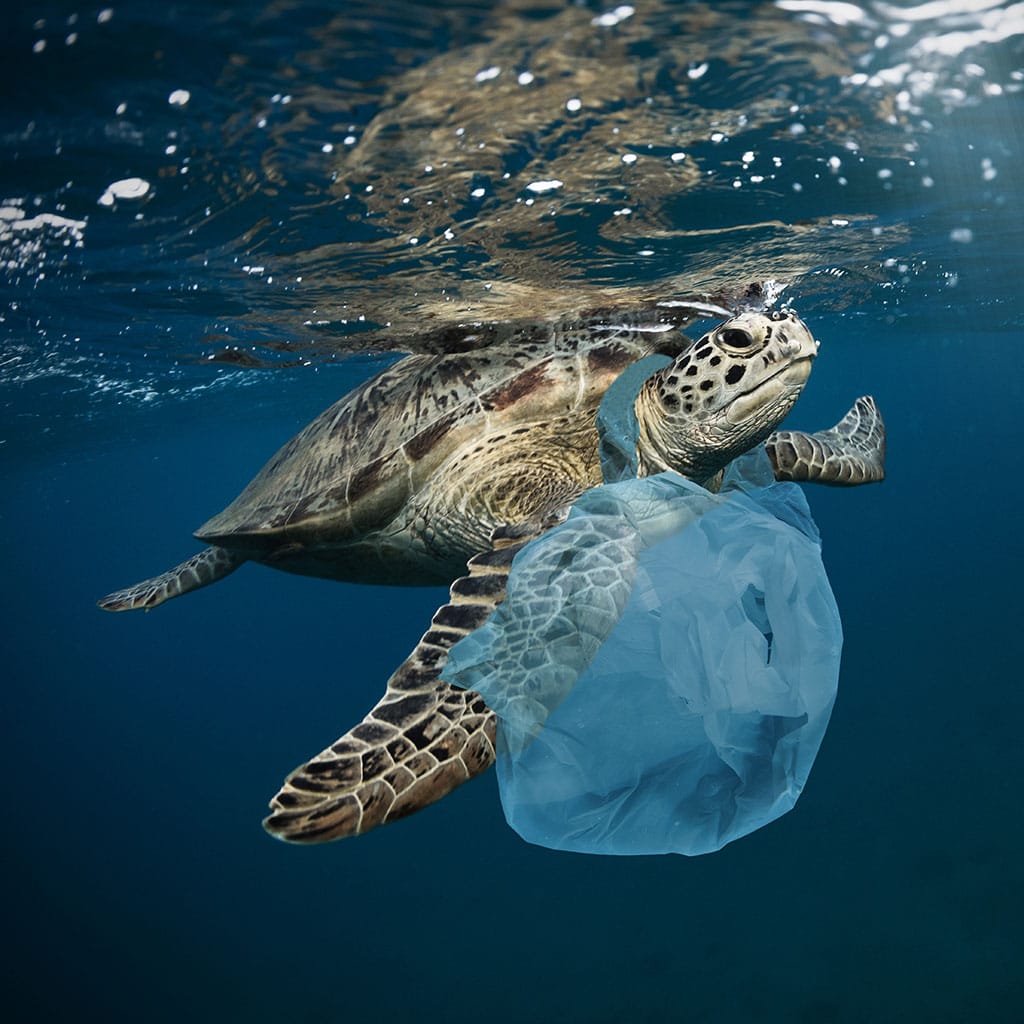 Underwater global problem with plastic rubbish